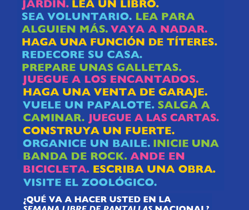 Flyer (Spanish)